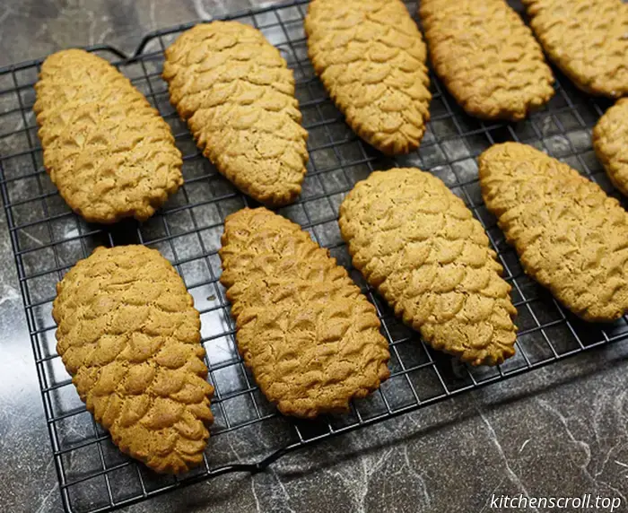 Gestempelte Ingwer-Lebkuchen „Zapfen“ im leckeren Blog