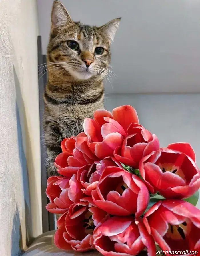 Buone vacanze di primavera!