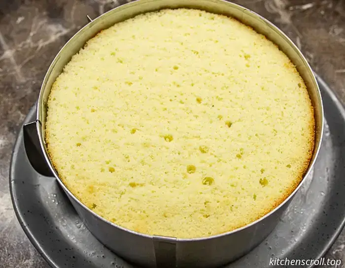Fresier-Kuchen auf dem Geschmack-Blog